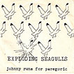 exploding seagulls