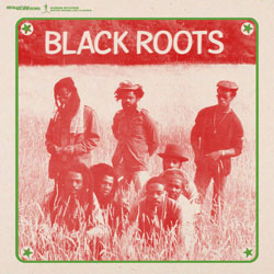 Black Roots Anthology